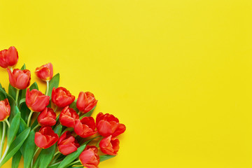 Bouquet of red tulips on a yellow background. Beautiful greeting card. Holidays concept. Copy space, top view.