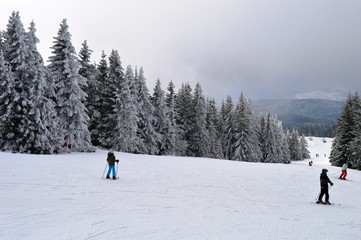 skiers on the trail on the mountain