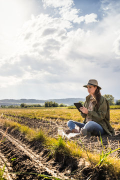 Biologist sitting in field, inspecting crops and soil samples with tablet. Bridger, Montana, USA