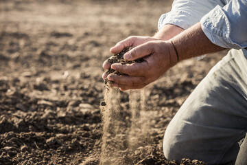 Close-up of farmer's hands picking up and inspecting soil in a plowed field. Bridger, Montana, USA