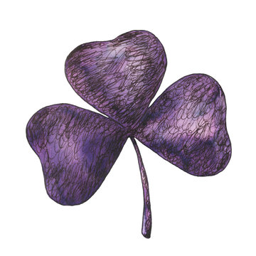Pen and ink shamrock illustration. Hand-drawn doodle purple illustration on a white background isolated. Decorative element for traditional design for St. Patrick's Day