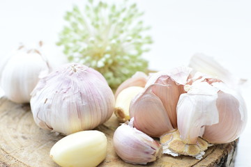 Allium sativum: Fresh, whole and sliced garlic