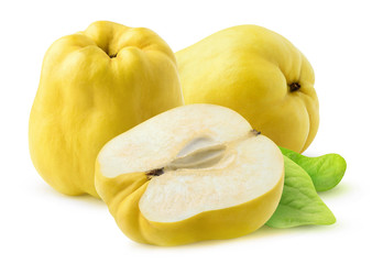 Isolated quinces. Two whole quince fruits and a half isolated on white backfround with clipping path