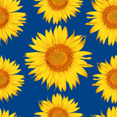 Seamless pattern botanical Sunflower flowers abstract classic blue backgground.Vector illustration drawing .For used wallpaper design,textile fabric or wrapping paper.