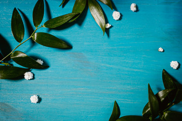 green leaf and white flowers on a blue wooden background