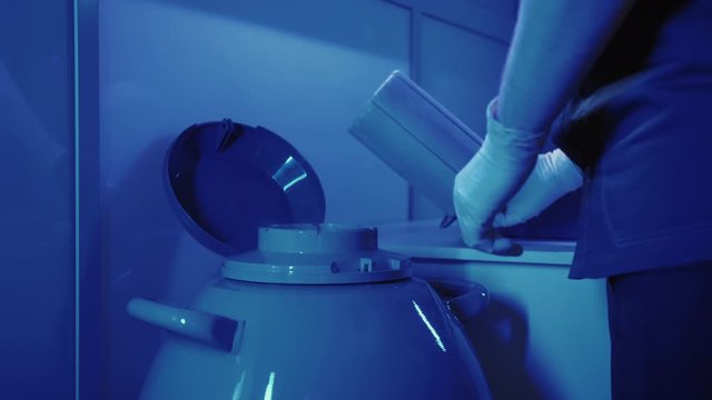 Specialist Embryologist Takes a capsule With Embryos from the Cryobank