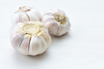 Allium sativum: Fresh, whole and sliced garlic