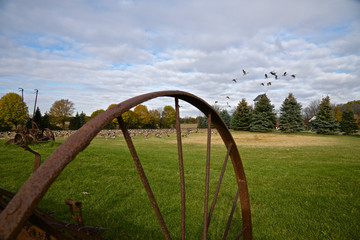 old farm machine on the field