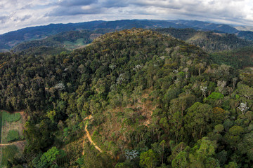 Fototapeta na wymiar Aerial Santa Maria de Jetiba photographed in Santa Maria de Jetiba, Espirito Santo. Southeast of Brazil. Atlantic Forest Biome. Recorded in 2016.