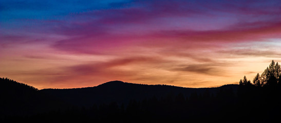 Silhouettes of trees against the sunset sky