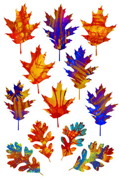 Fall Oak Leaves Hand Painted