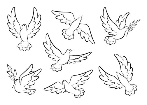 Flying dove sketch vector set. Pigeons set peace and love symbols. Dove with olive branch Christian religious symbol.  Collection of flying and soaring bird logos. Isolated. Vector illustration