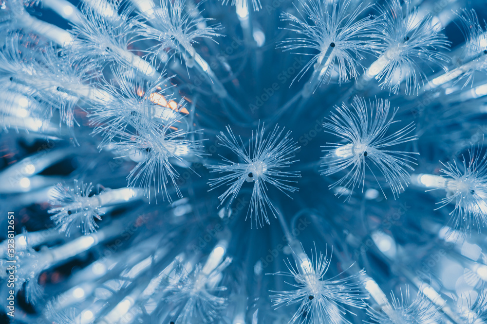 Poster bundle of optical fibers with lights ; background or textures