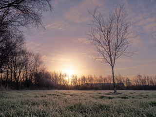 Fototapeta na wymiar Sunset time, small lawn in a park covered with ice, Trees without leafs, winter cold season.
