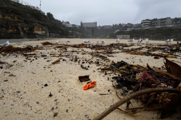 Rubbish by the Sea, Sydney Australia