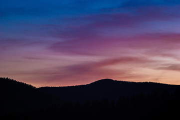 Silhouettes of trees against the sunset sky