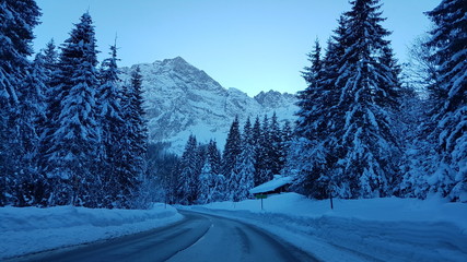 Winter