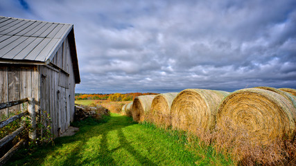 Bale of hay on farm