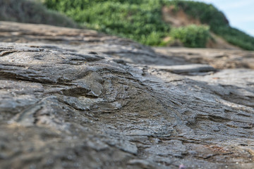 2020-02-17 ABSTRACT VIEW OF SEA CLIFFS IN LA JOLLA CALIFORNIA NEAR SAN DIEGO