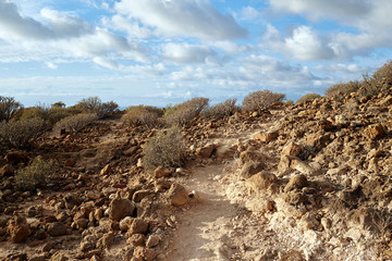 Amazing landscape volcanic island Tenerife. 