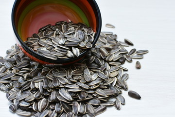  Helianthus annuus: Fresh Sunflower Seeds