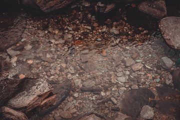 Beach pebbles under clear water