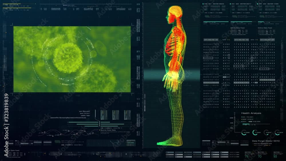 Fototapete advance head up display motion element virtual biomedical holographic human body scan neurological e
