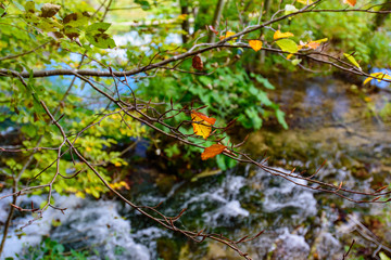 Cascades / waterfalls in Plitvice Lakes National Park (Plitvička Jezera), a national park in Croatia