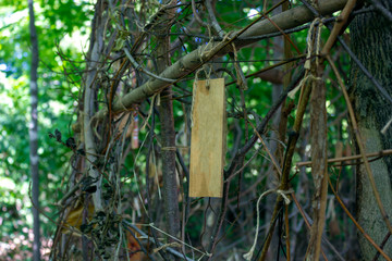 wood burned ornament copy space for initials in the woods magic of the forest