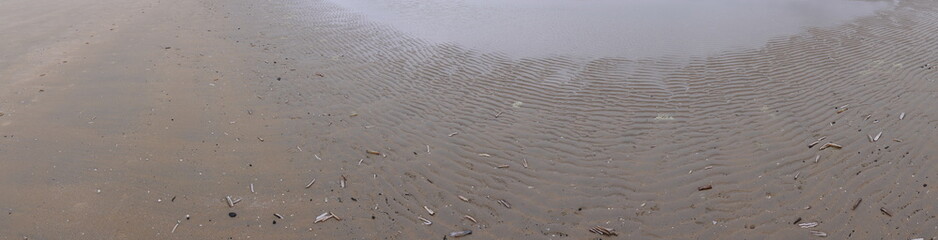 the transition from the sea to the land. Panoramic photo,  sea floor with prints of small waves at low tide, in the left wet sand beach