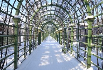 Alley in Summer Garden in St.Petersburg.
