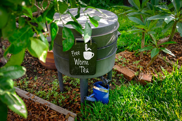 top view of worm farm compost bin in organic Australian garden with sign for Free Worm Tea,...