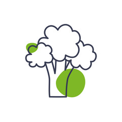 Isolated broccoli vegetable line color style icon vector design