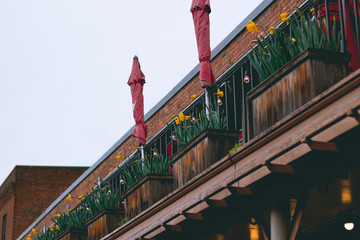 balcony with yellow flowers and red umbrellas