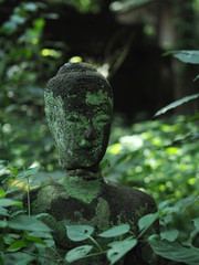 タイ、チェンマイ のワット・ウーモン。トンネルの中で僧侶の厳しい修行寺として有名です。　　　　境　　　　　　　　　　　　　　　　　　　　　　　　　　内　　には他の廃寺の石仏群が野ざらしの状態にあります。裏山にはヒマラヤ桜、野生の鹿そしてうさぐが観光客を楽しませています。　　　　　　　　　　　　　　　　　　　　　　　に　　　　　　　　　　　　　　は　　　に　　　はたの廃寺の石仏群が野ざらしににはには