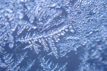Photographing macro ice on the glass in winter Patterned like leaves