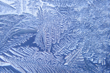 Photographing macro ice on the glass in winter Patterned like leaves