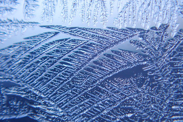Photographing macro ice on the glass in winter Patterned like leaves