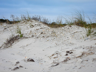 dunes with sea grass