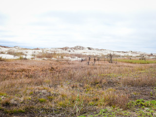 dunes with sea grass