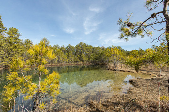 Clear Sand Pond In The NJ Pine Barrens