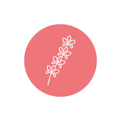 Flower inside pink circle line block style icon set vector design