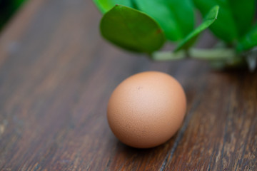 egg