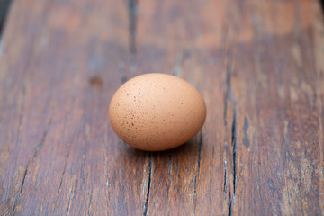 egg