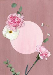 Spring background with pink carnation flower.