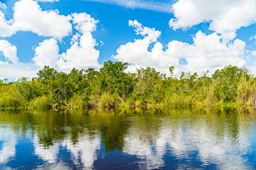 Obraz premium Everglades wetland in Florida, Everglades and Francis S. Taylor Wildlife Management Area