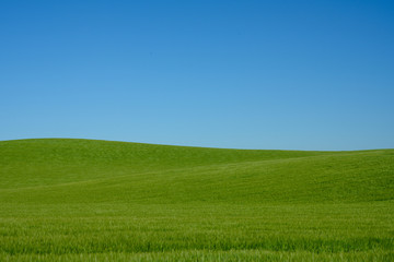 Smooth Curve of Idaho Countryside