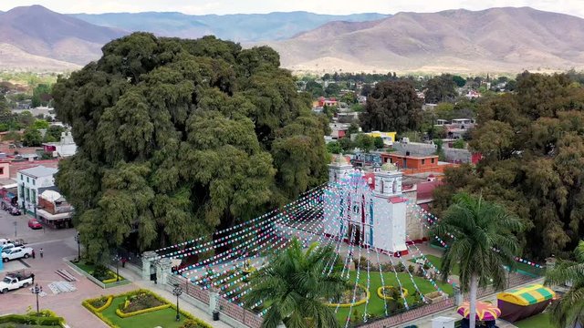 The tree of Tule in Santa María del Tule is the widest tree in the world and over 1,400 years old. Aerial video by drone flying forward - Arbol del Tule, Oaxaca, Mexico