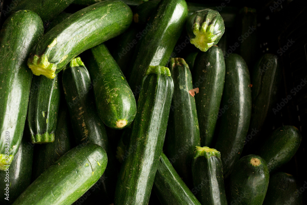 Wall mural a lot of piece of green zucchini close up