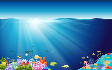 Fototapeta na wymiar colorful coral reef and colorful fish at underwater in the ocean